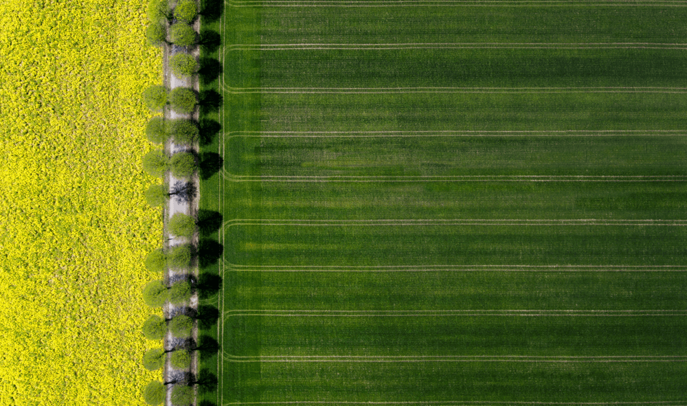 SPGEnergyAg's tweet photo. Poland, Ukraine reach agreement to allow transit of Ukrainian grain
🔸New agreement to come into force night of April 20-21
🔸Poland, Hungary, Slovakia restricted movement of Ukrainian grain
🔸Concerns remain over future of Black Sea grain deal

Read here: https://t.co/xJwxX8zZCU https://t.co/dcfeKPaIBO