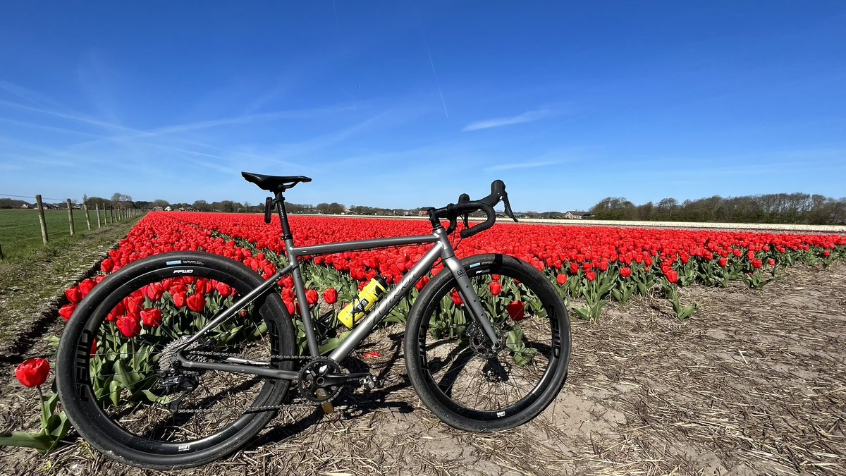 mtnbiker74's tweet photo. Wel trappen als #TinusTegenwind met de stevige #noordoostenwind maar een lekker rondje door de #duinen kunnen #gravellen #wikkit #tulpen https://t.co/GtdfrW4CUV