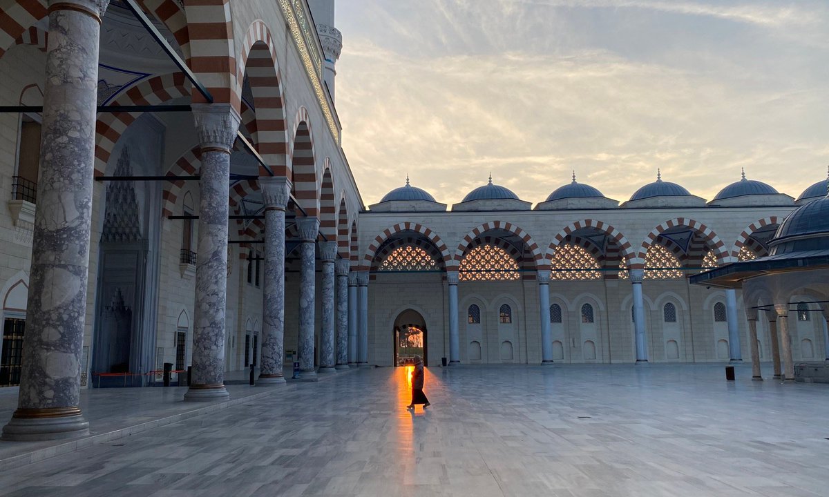 Besides the Obvious tweet media