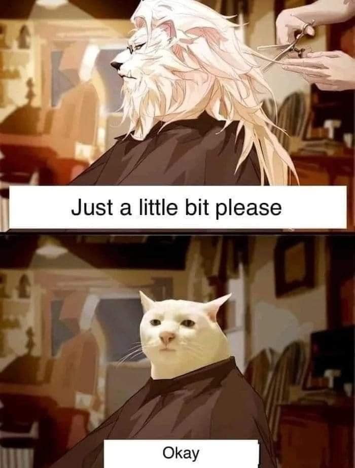 CATBRAINCELL's tweet photo. https://t.co/pAIPNk20It