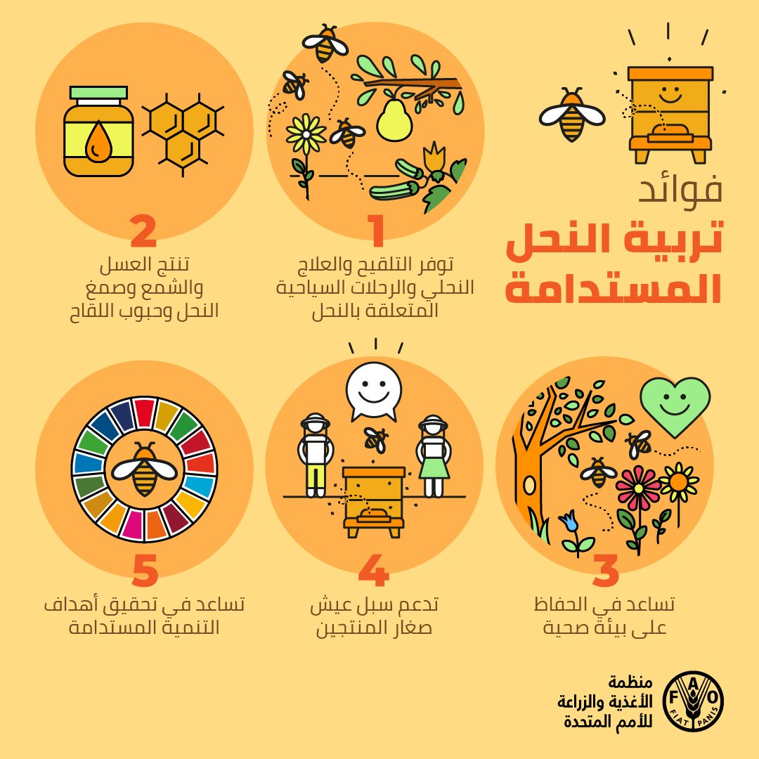 تربية  النحل تتيح، نظرًا إلى إمكانية القيام بها باستخدام موارد محدودة ومواد  متاحة محليًا، مصدرًا للدخل للذين يعيشون حياة عنوانها الفقر المدقع، ما  يساعد على تحسين قدرة المجتمعات الريفية ومجتمعات الشعوب الأصليين على  الصمود وسبل عيشهم