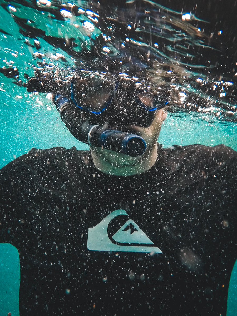 RouxDominique's tweet photo. Snorkeling today was great! https://t.co/38TtcMjl6Q