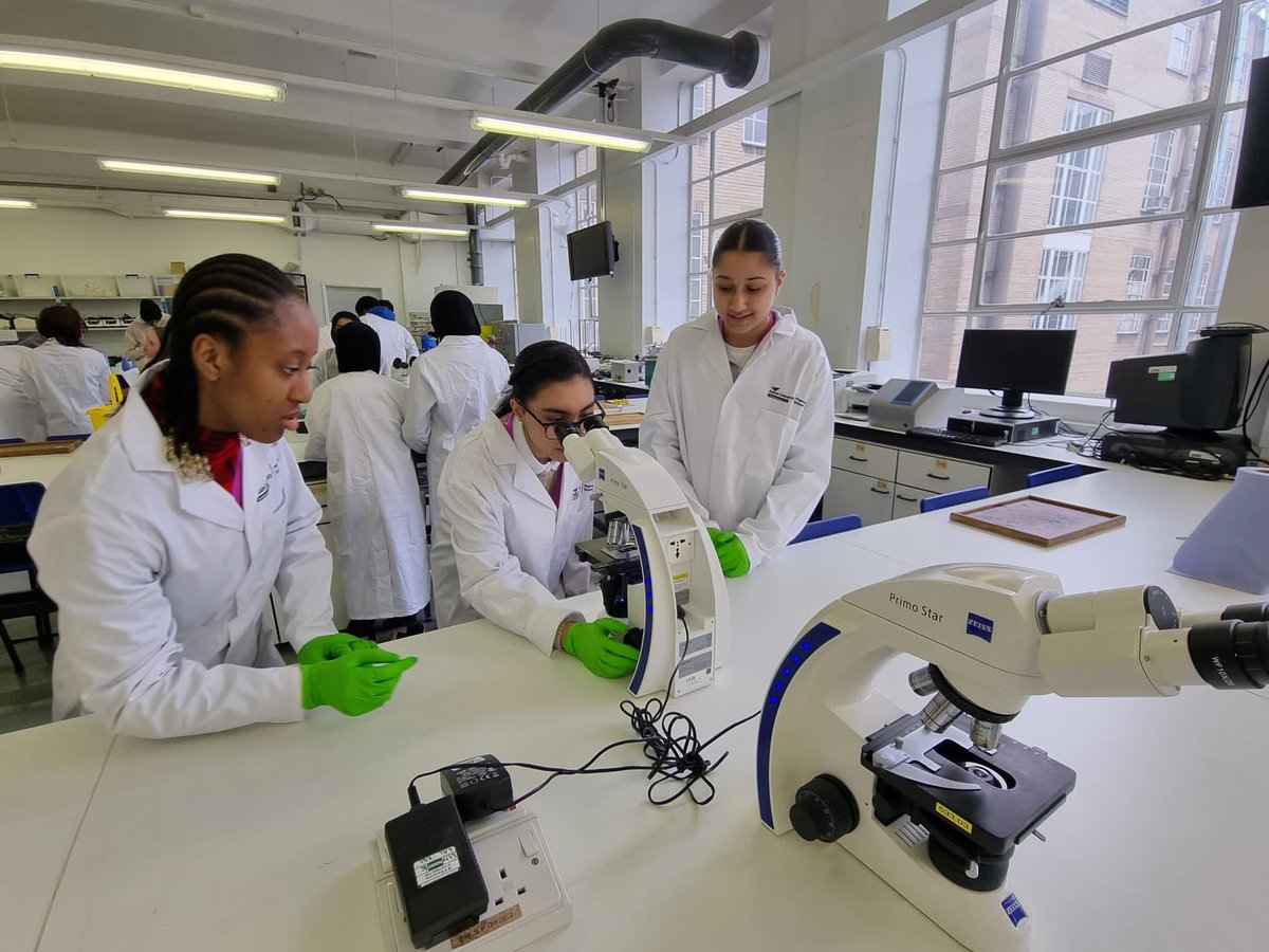 HHASixthForm tweet media