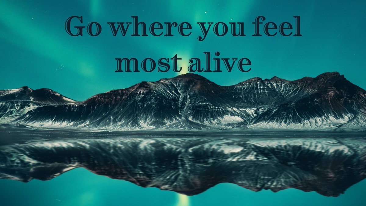 dailytourguide's tweet photo. Go where you feel most alive!
Visit: https://t.co/B8UywNztnC

#travel #travelife #tour
#traveltheworld #traveling #tourlife
#tourtheworld #tourtheplanet #travelphotography #travelblogger #explore #exploretheworld #travelingtheworld https://t.co/kCJPoj8VAI
