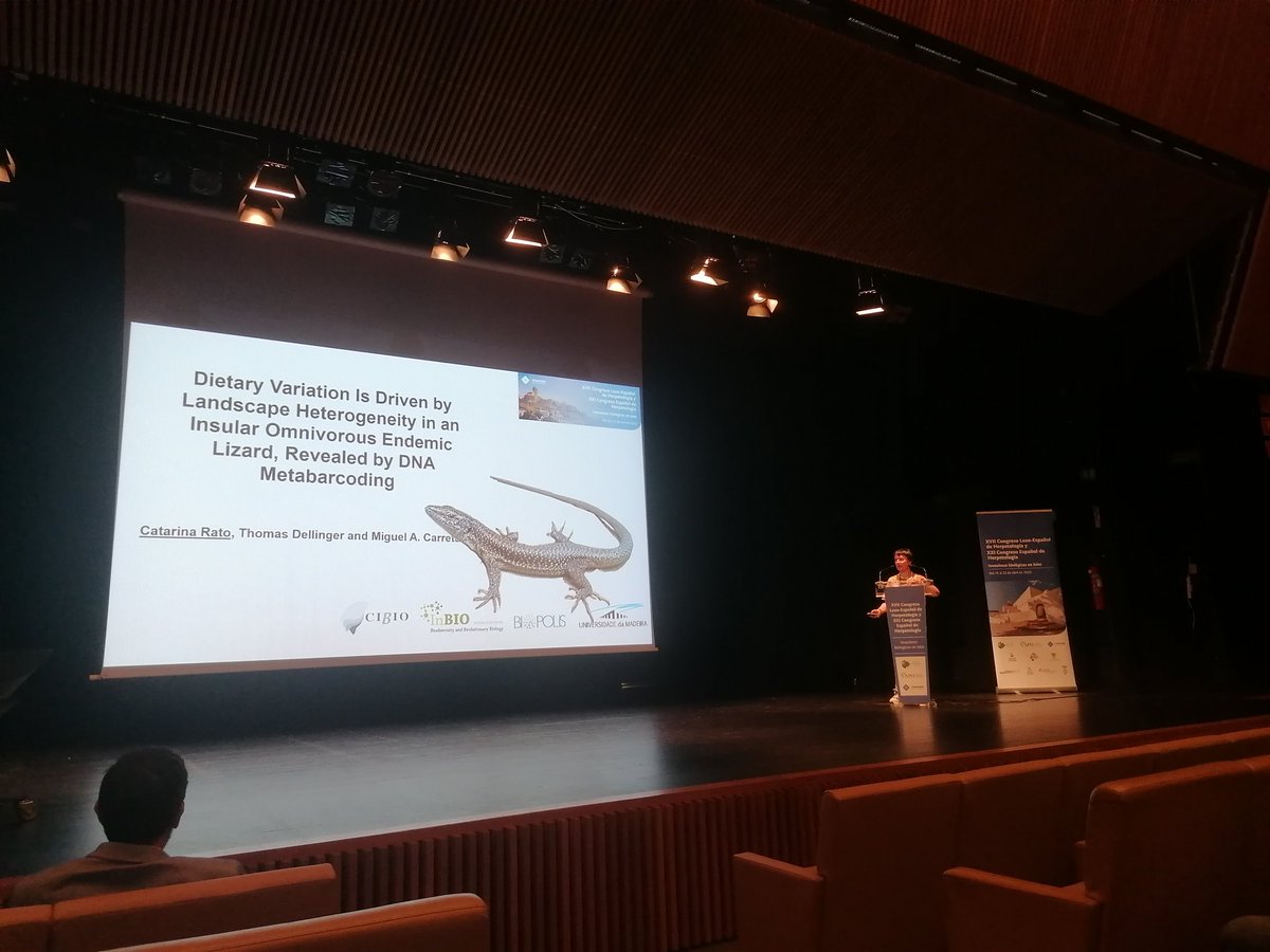 SaraFerreNunes's tweet photo. Catarina Rato @rato_catarina @FunctionalBiod1 on dietary variation in #teiradugesii using #metabarcoding. #HerpetologiaIbiza2023 https://t.co/iFkSAUNmcM