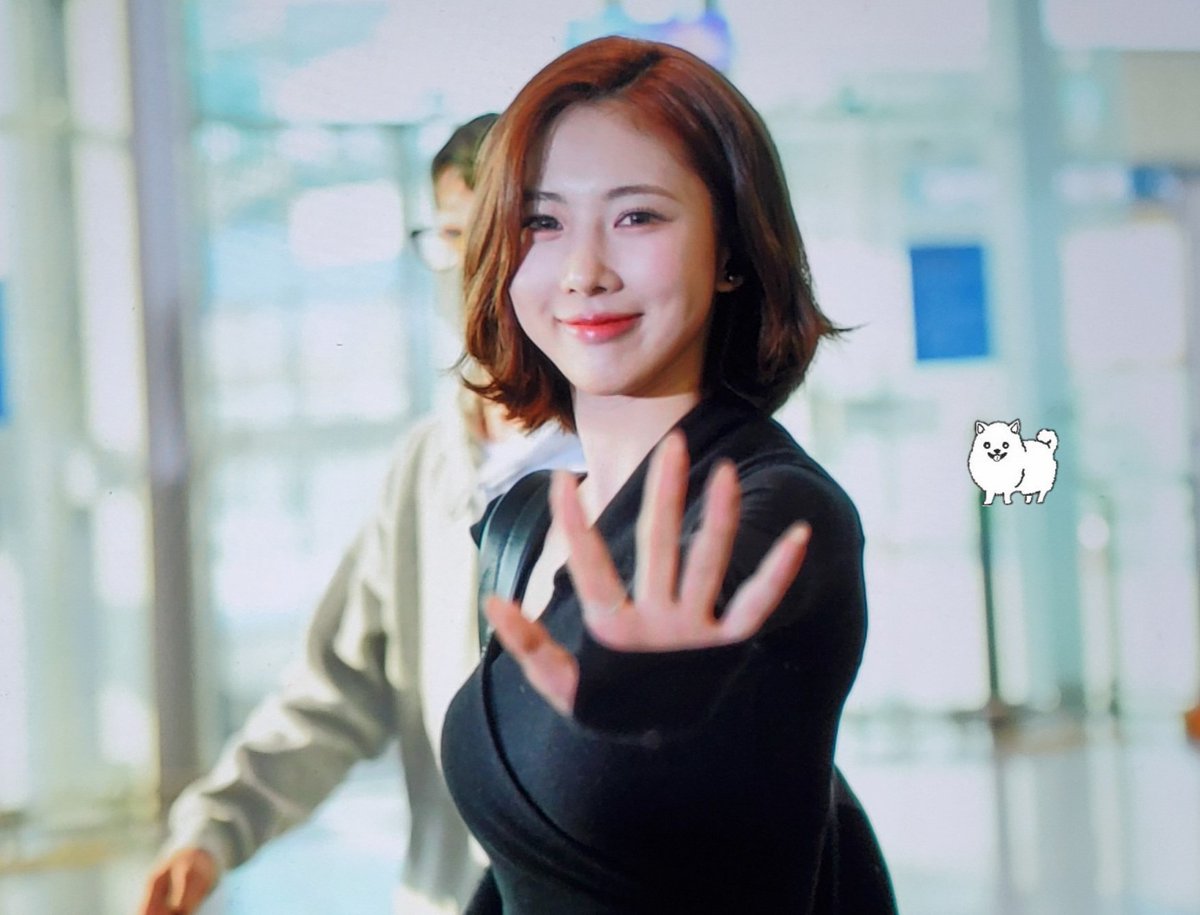 inseparable_YH's tweet photo. Preview 230419 출국 유현이 잘 다녀와 🐶
#유��� #드림캐쳐 #Yoohyeon #Dreamcatcher https://t.co/q8sostKeph
