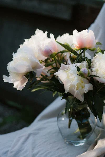 4everglade's tweet photo. "But he, that dares not grasp the thorn
Should never crave the rose."

- Anne Brontë https://t.co/UDi833c2Ur