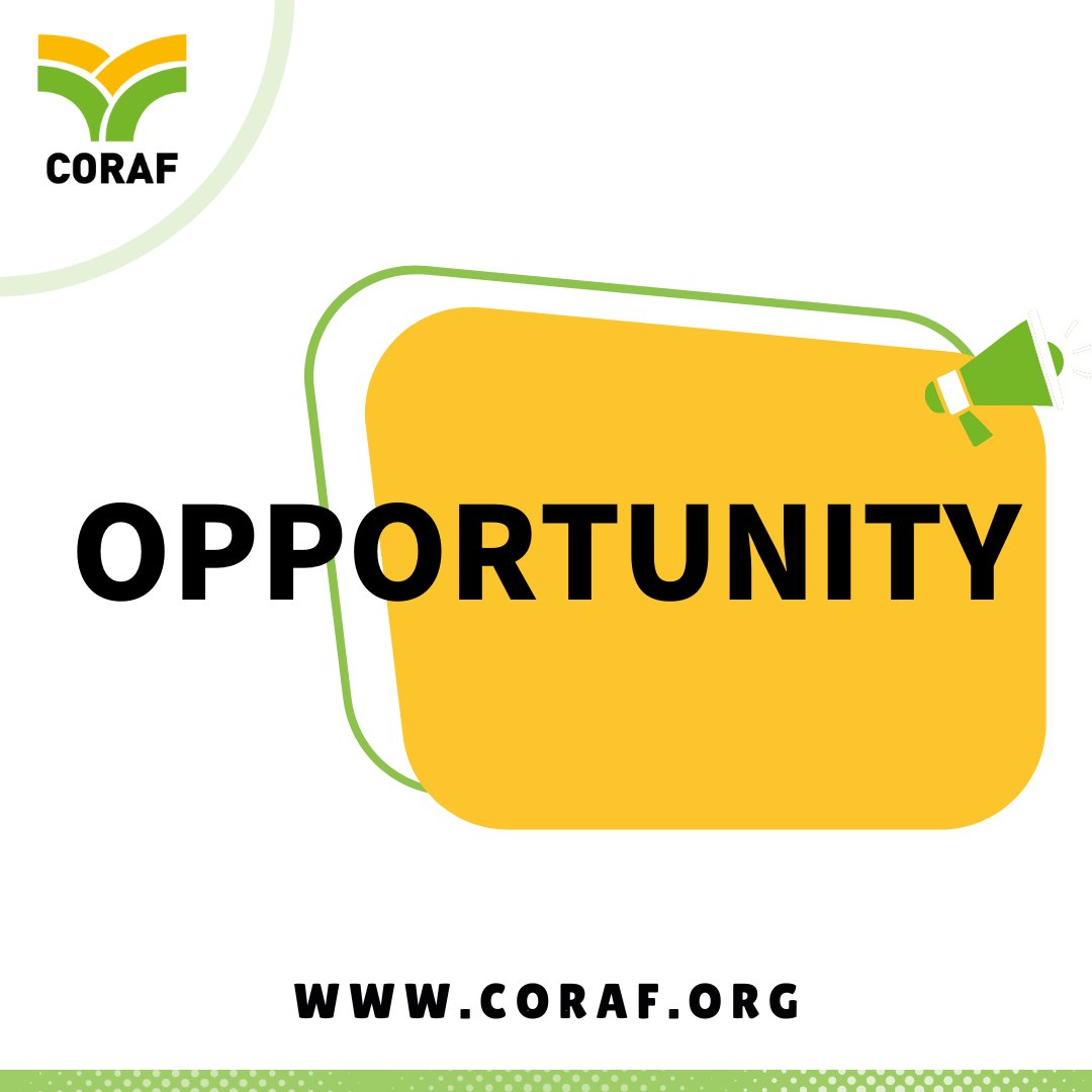 📣 Call for CORAF 2023 Scholarship Applications 📣
<a href="/CORAFNews/">CORAF</a> is offering 8⃣ #PhD scholarships 🎓 in the framework of the implementation of the Food Systems Resilience Program in West Africa.

Learn more and Apply 👉🏾 cutt.ly/N75dKzd

#FSRP #Opportunity #Scholarships