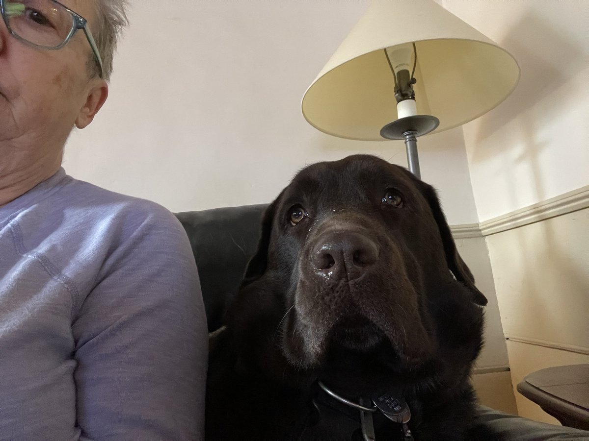 codyjakegolden's tweet image. #Backrest watching tv with mom