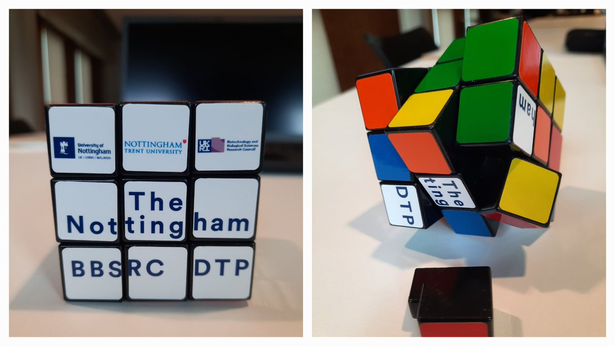 How you thought your PhD would look like vs how it actually looks like!
But seriously enjoying #BBSRCDTPSpingConf2023
Thank you <a href="/nottm_bbsrc_dtp/">Nottingham BBSRC DTP</a> for a great conference once again!