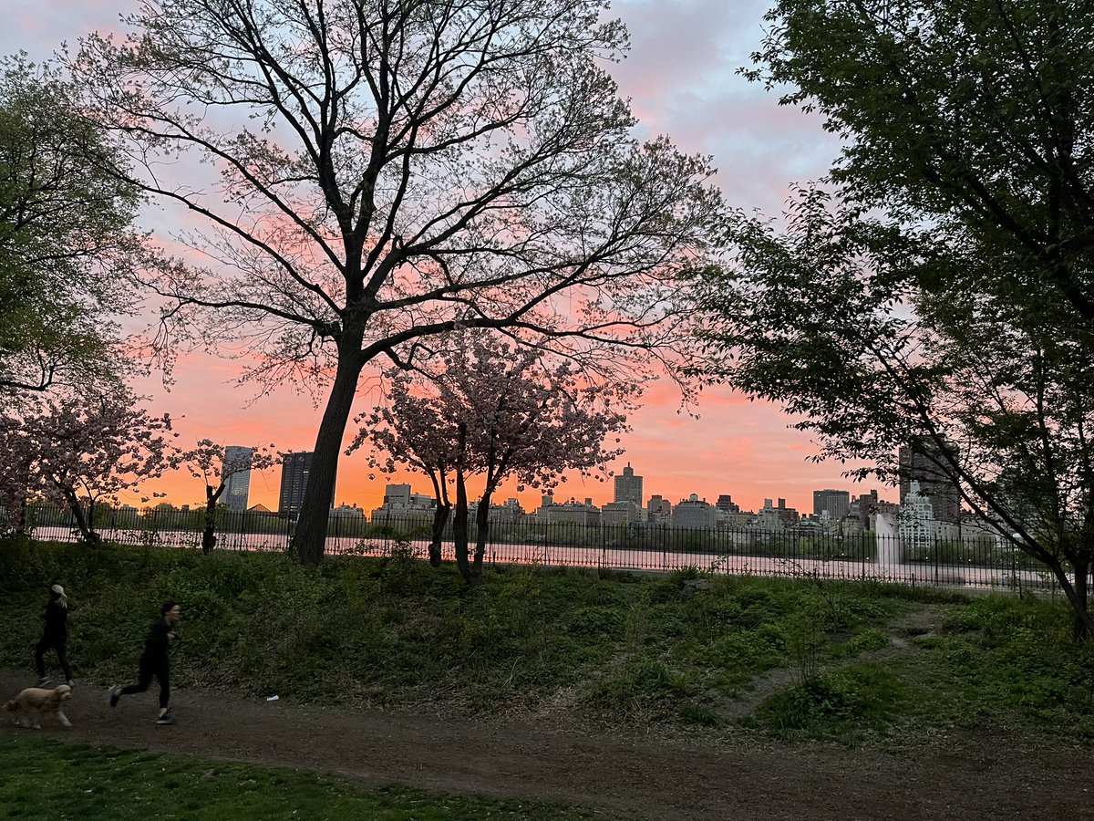 bhushansethi1's tweet photo. New York - you complete me:) 

#sunrise 615AM #running #himpday #wellbeing #getitdone @CentralParkNYC https://t.co/KBvZNYBvLz