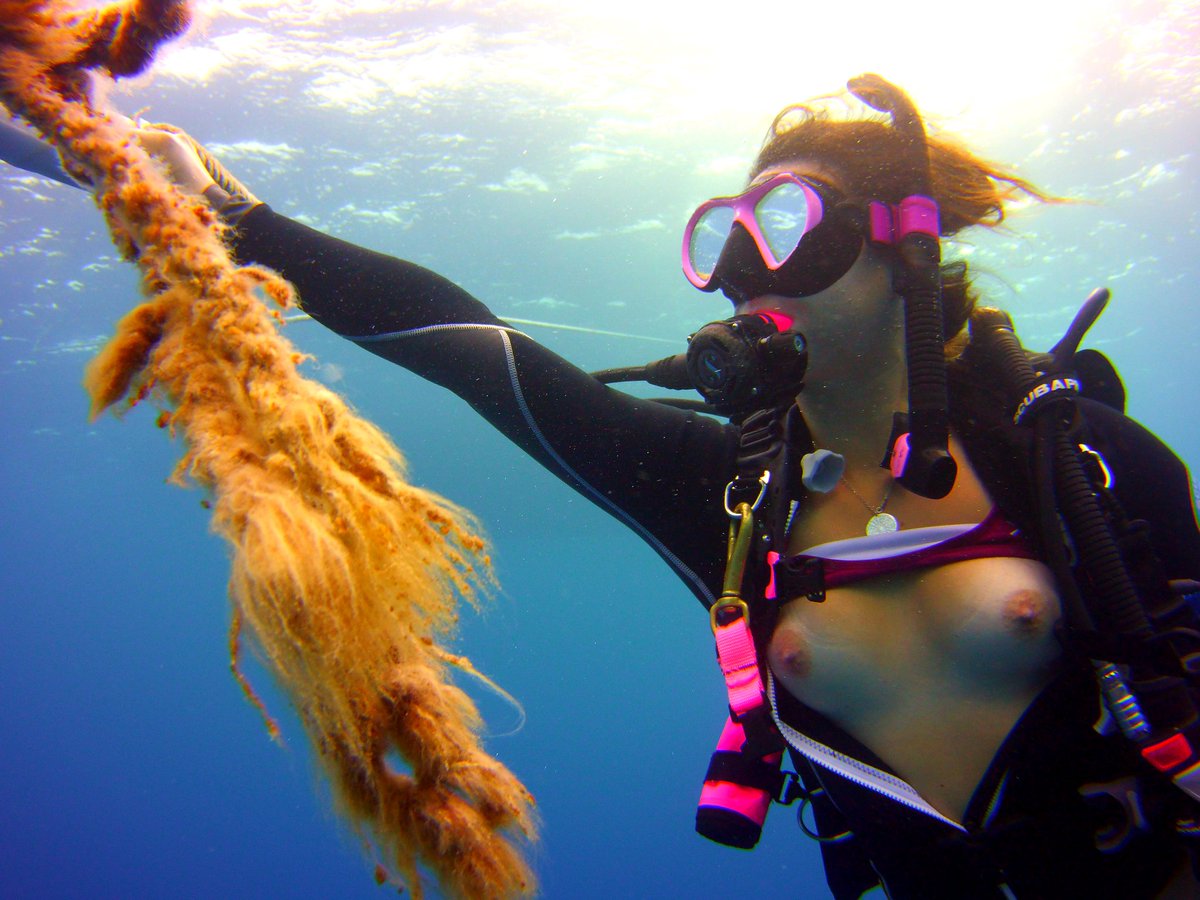 realcoupleshows's tweet photo. Anyone dive here? https://t.co/YTNep34DXj