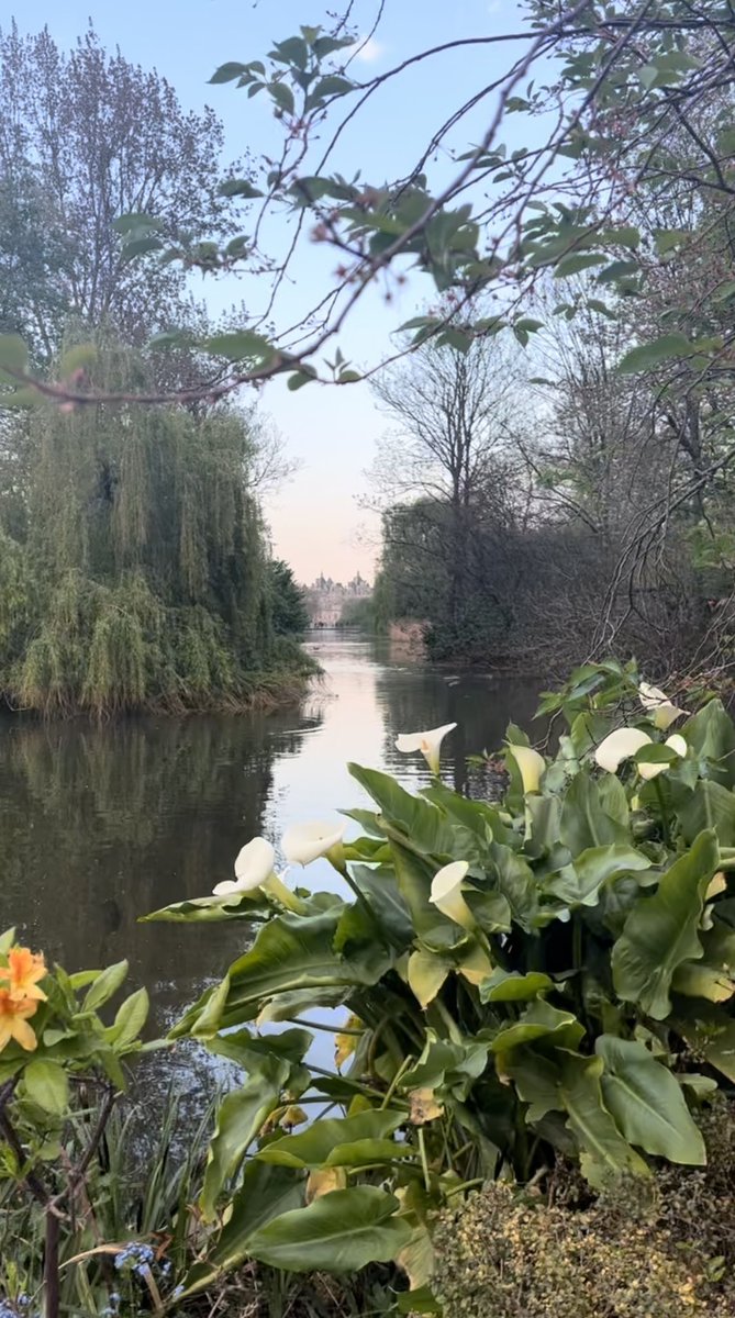AjcJasmine09's tweet image. Take a moment and appreciate how lovely ‘SPRING’ adds new life and beauty to all that is… 

#springinlondon #mykindofweather