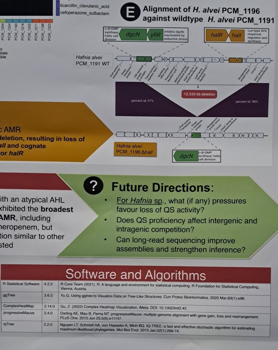 Ramya_Balasub's tweet photo. When your colleague's work shapes your own PhD 👩🔬. Visit P503 for the best conversations on AHL's, Biofilms and transparent data analysis @forestsomewhere @MicrobioSoc #microbio23 https://t.co/6T8jLEk8Td