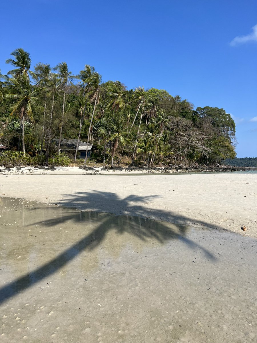 Bieordinary22's tweet image. รีวิวเกาะกูดจาก คหสต ย้ำความเห็นส่วนตัว และจากที่คุยกะชาวเกาะมานิดนึง บอกก่อนว่าเกาะกูดถ้าเทียบกับเกาะหมากกับเกาะช้าง เกาะกูดยังมีไม่ได้มีโรงแรมใหญ่ๆ มากเหมือนเกาะอื่น แต่ธรรมชาติดีมากมีครบทะเล น้ำตก ปะการังน้ำตื้น ขี่มอไซได้อย่างสบายใจ(1)