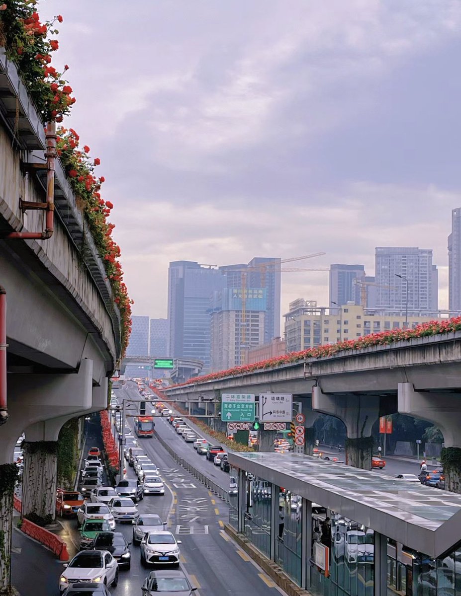 Chengdu_City's tweet photo. 【Romance in Chengdu】
The unique #romance that #Chengdu offers! Check out these beautiful #blossoms on the city’s #overpasses. https://t.co/NniSkapcnE