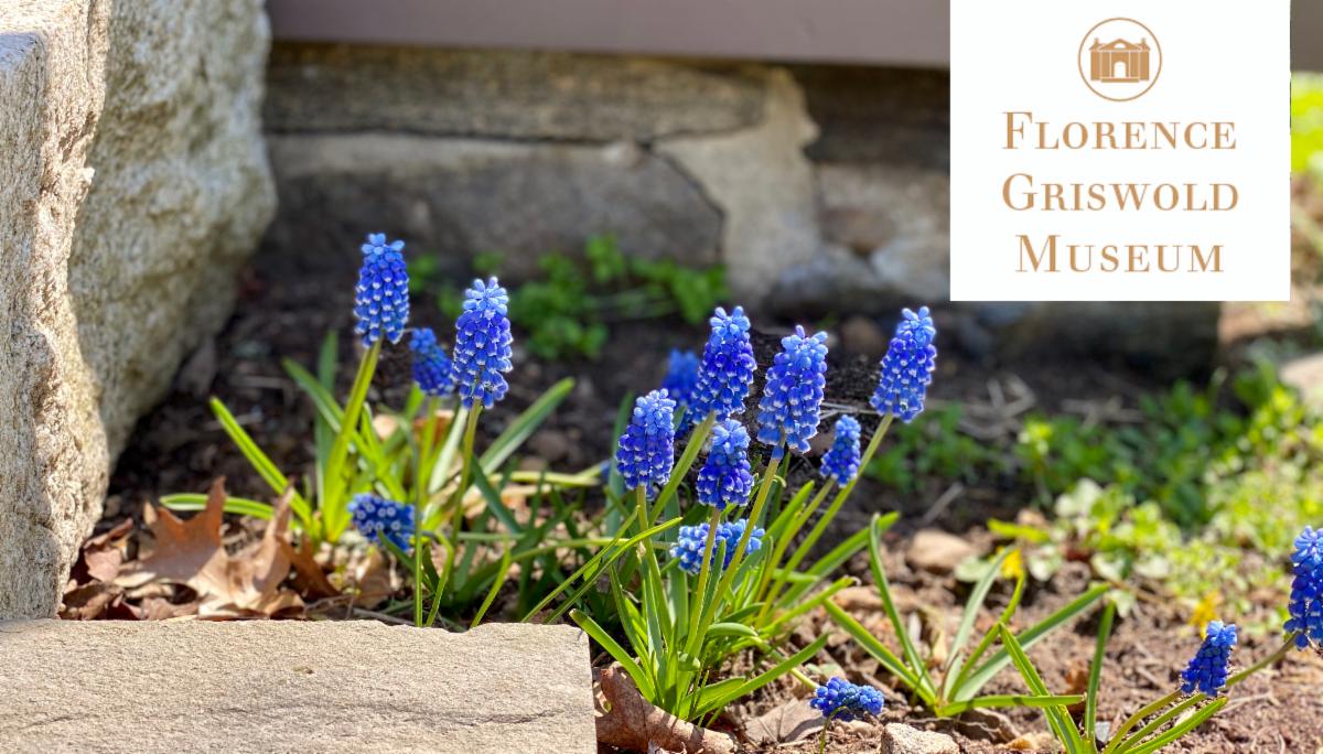 Check out what's happening at the Florence Griswold Museum!
Virtual lecture about outsider art, storytelling for adults, and a "memorable" baking contest.
conta.cc/41F4OOt