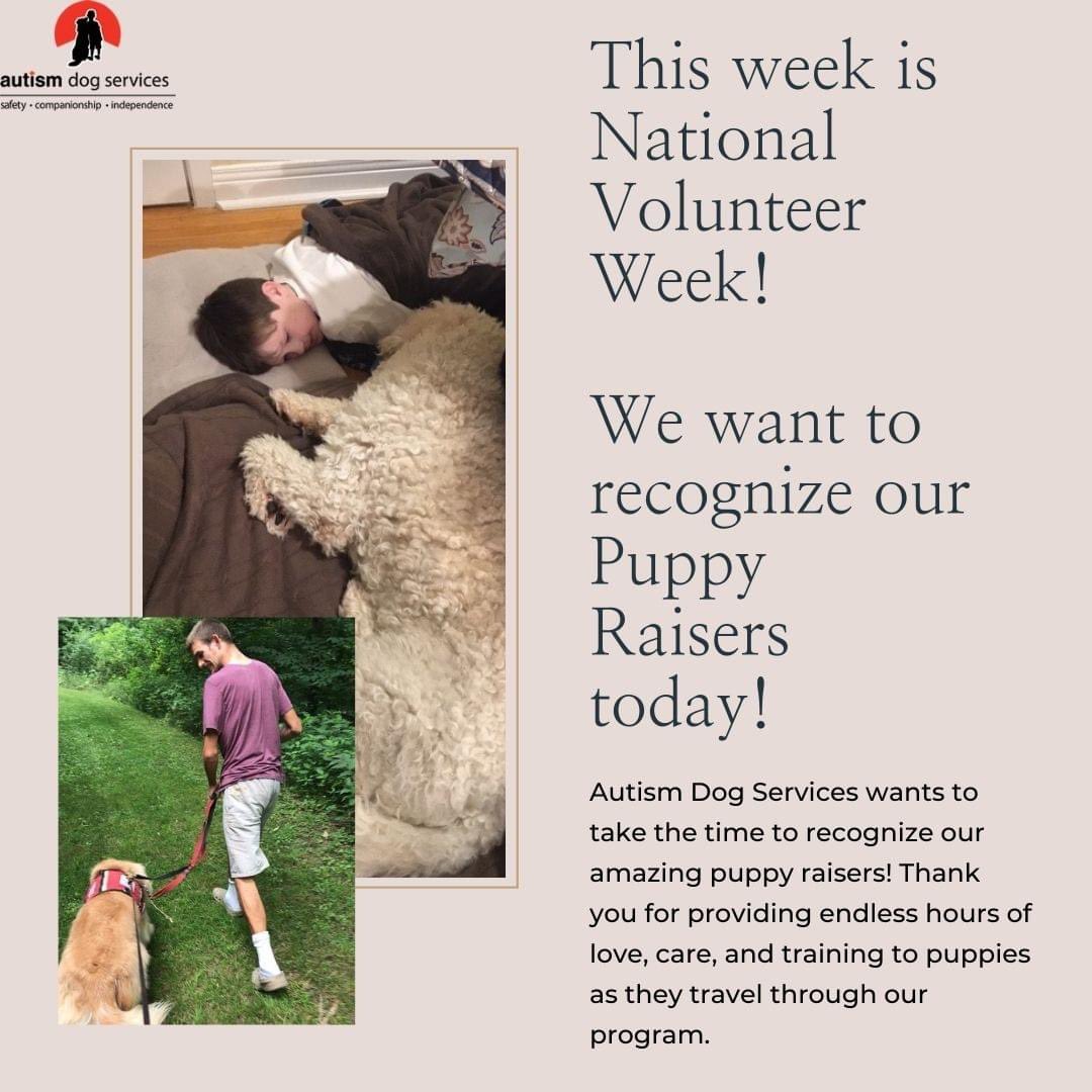 Autism Dog Services tweet media