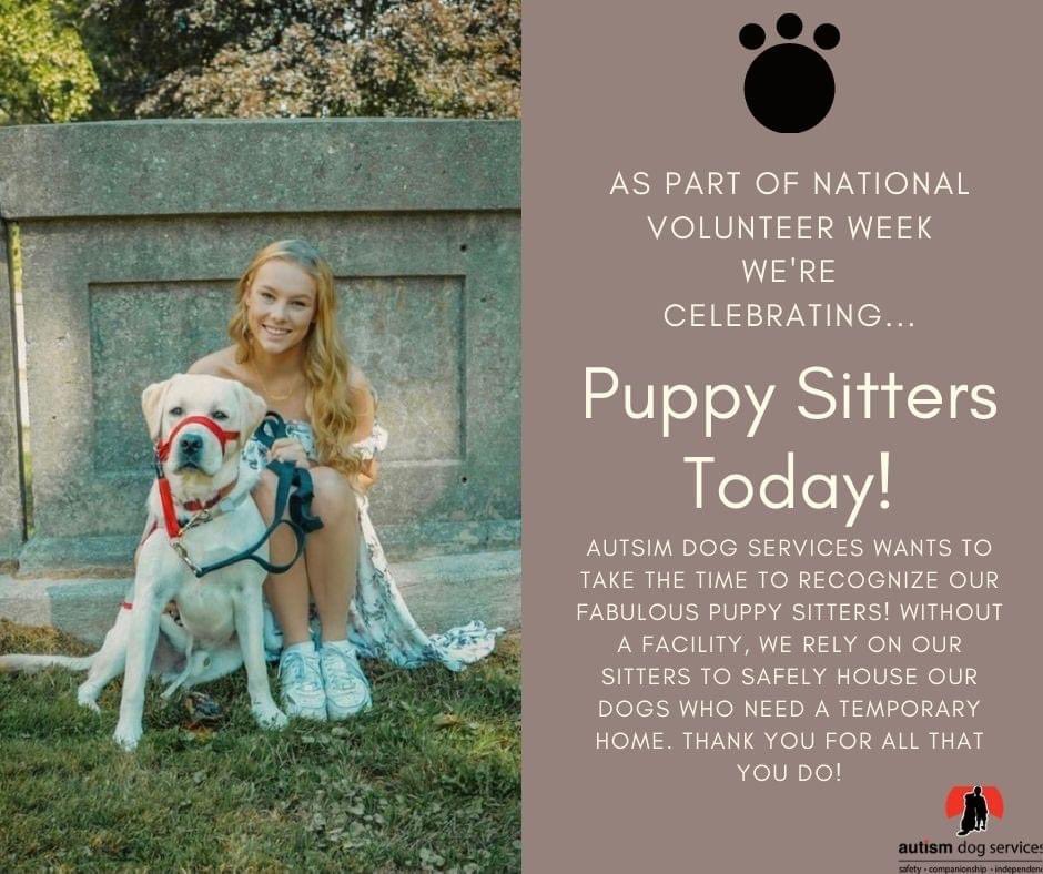 Autism Dog Services tweet media