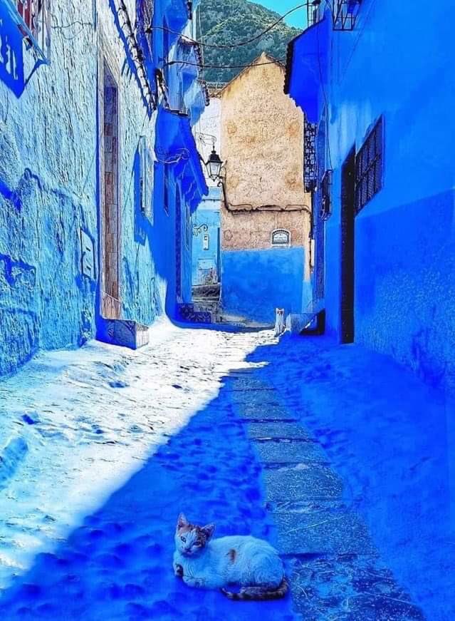 rachid0ahmadi1's tweet photo. 🇲🇦🇲🇦KINGDOM OF MOROCCO 🇲🇦🇲🇦 ذالك اللون الذي يعالج العيون من أزقة الزرقاء  مدينة شفشاون المغربية https://t.co/VR9vjFzFlr