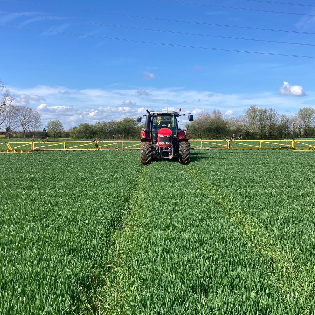 Zeitpunkt und Menge entscheiden: Im Weizenversuch  #klimapartnerlandwirtschaft von #BASF und #RWZ wurden Fungizide und Wachstumsregler gemäß der Empfehlung des xarvio FIELD MANAGER ausgebracht. Ziel ist, #CO2Emissionen bis zu 30% pro Tonne ohne Ertragseinbußen zu reduzieren.