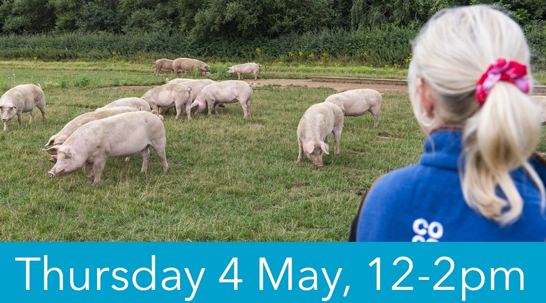 .@Coopuk Members can join in with our online event on Thursday 4 May, 12-2pm to learn more about some of the motions being voted on at our AGM. More info 👉 coop.uk/3GIK6FE #itswhatwedo