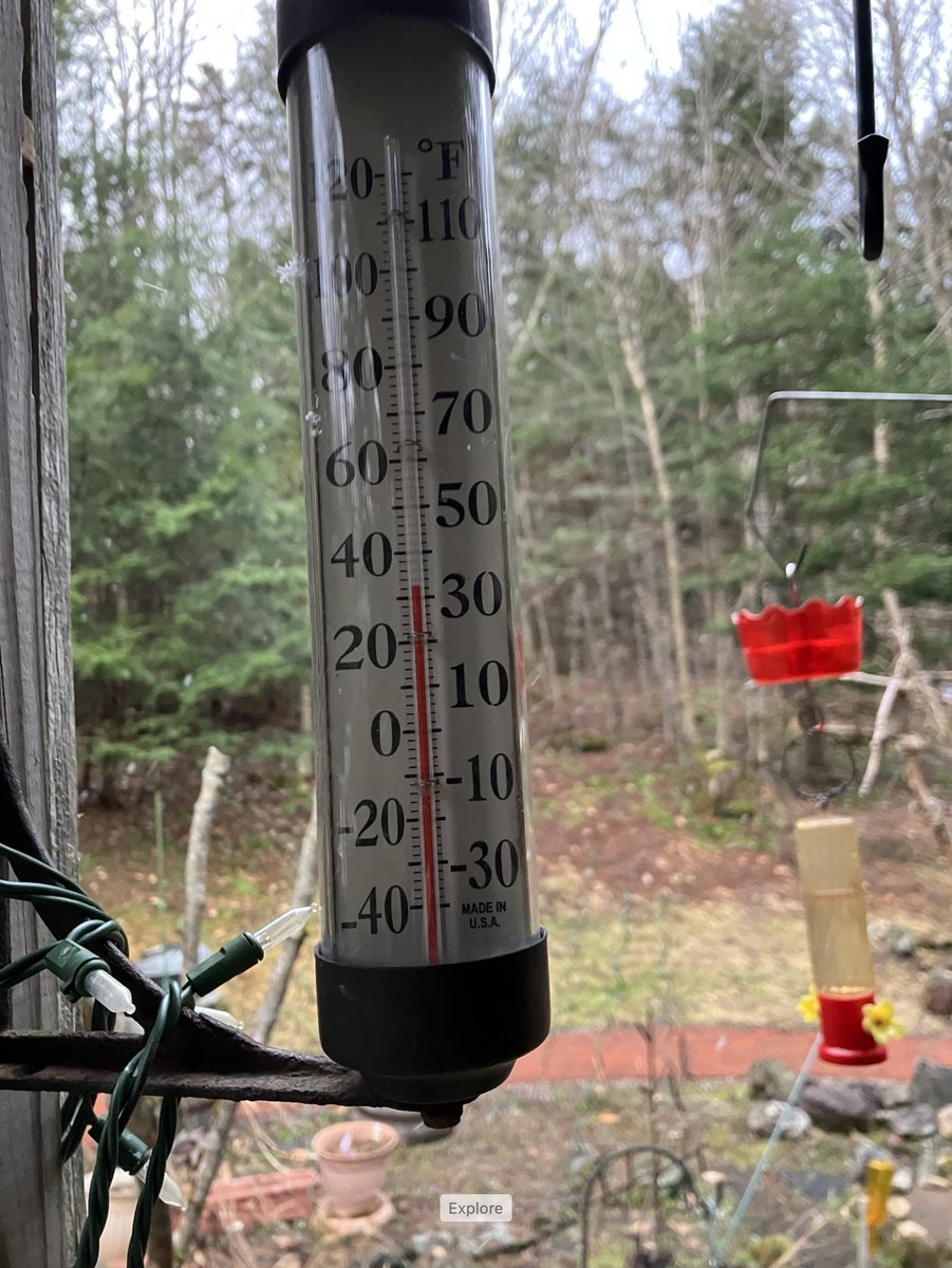 9dognight's tweet image. Perennial plant emergence+greening continues with maple red buds falling from trees + snow flurries.

All of this is #SpringtimeInVermont + #VTwx in #MyNeckOfTheWoods this morning (April 19, 6:45am at 1200ft elev).