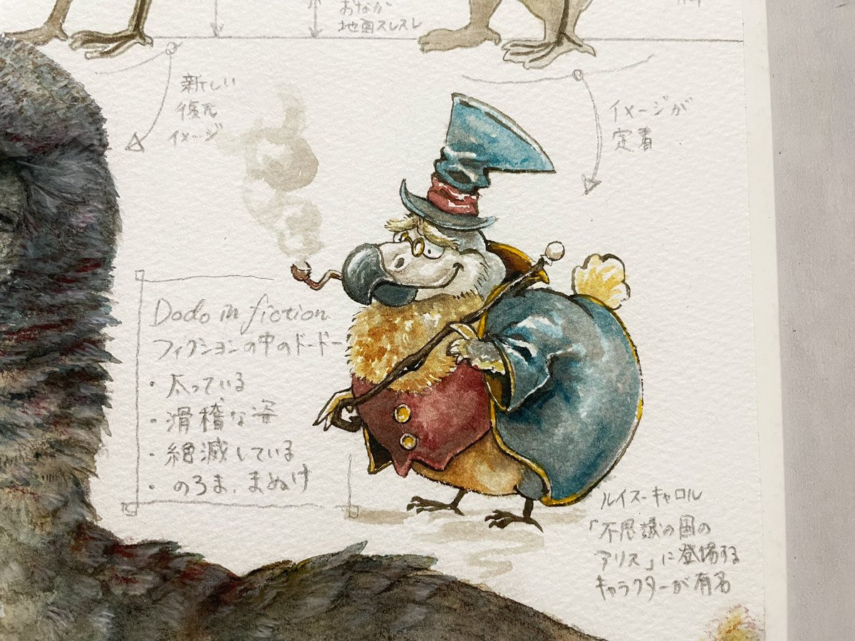 ドードーの太ったイメージは、誇張された証言をもとに描かれた17世紀のドードー画にかなり引っ張られているようです。
1865年刊行の「アリスのドードー」も、1866年発表のR.オーウェンによる復元図も。
実際のドードーはもっとスマートで、活動的で、カッコよかったかもしれない…