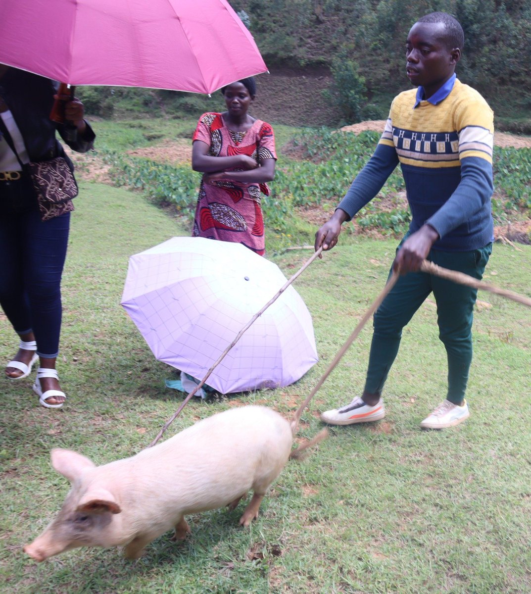 CorpsAfricaRda's tweet photo. The strength of a community lies in its ability to unite and empower its members. In @Nyamagabe, Mugano Sector, we've seen firsthand how a group of 23 dedicated youths has come together to support each other's growth. 1/4 https://t.co/Z0DbT9bXU8