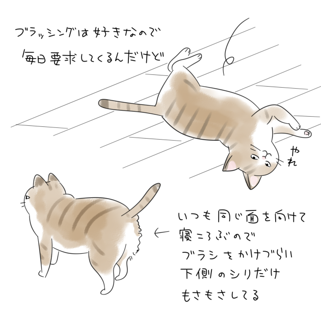 最近のネコ。ひっくり返すと怒る 