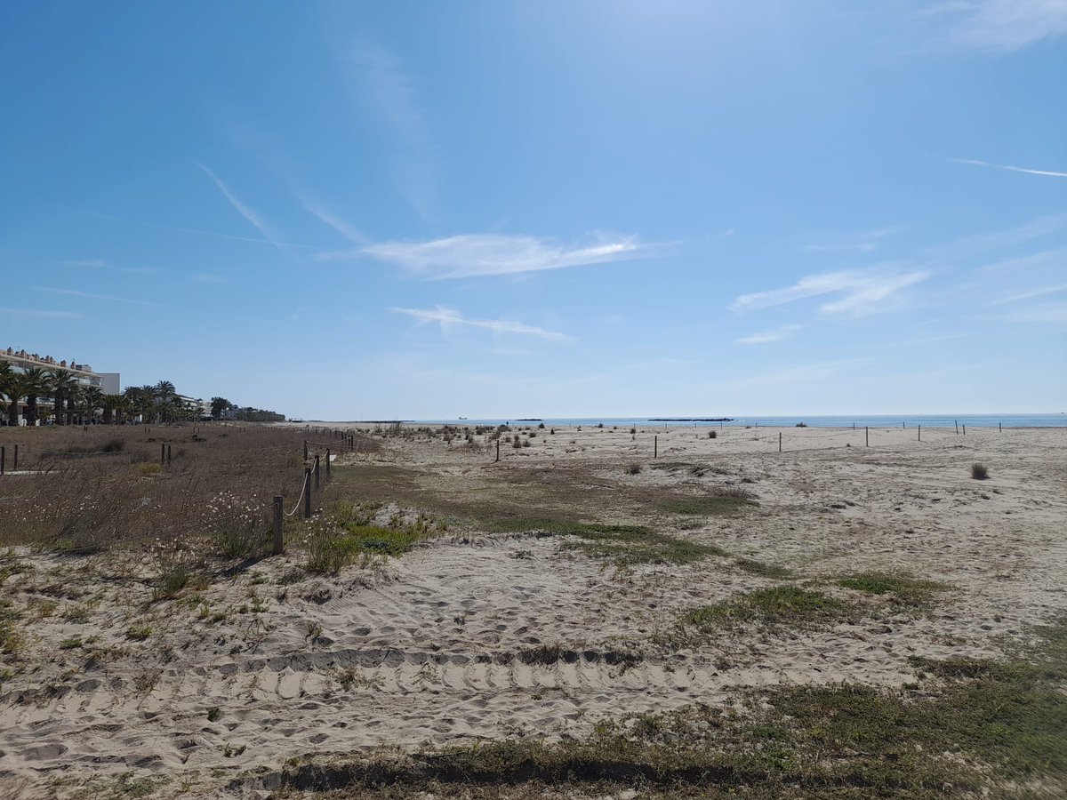 SandraRochaSan1's tweet photo. Feliz miércoles!! Hoy coordinando en la playa! #coordinando #seguridadysalud #CSyS #FelizMiercoles #working #obra https://t.co/v6pNiywdc4