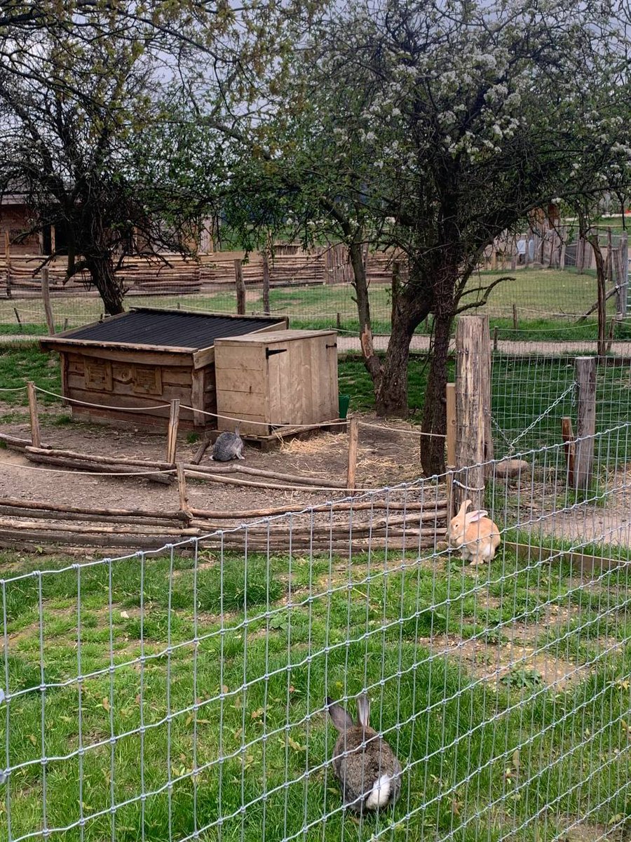 Valencia_ruka's tweet photo. The Zoo https://t.co/dZA1zVsDvN