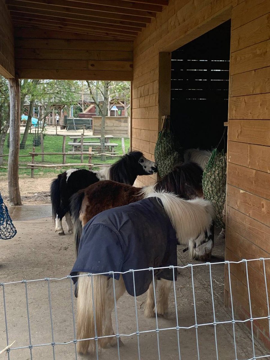 Valencia_ruka's tweet photo. The Zoo https://t.co/dZA1zVsDvN