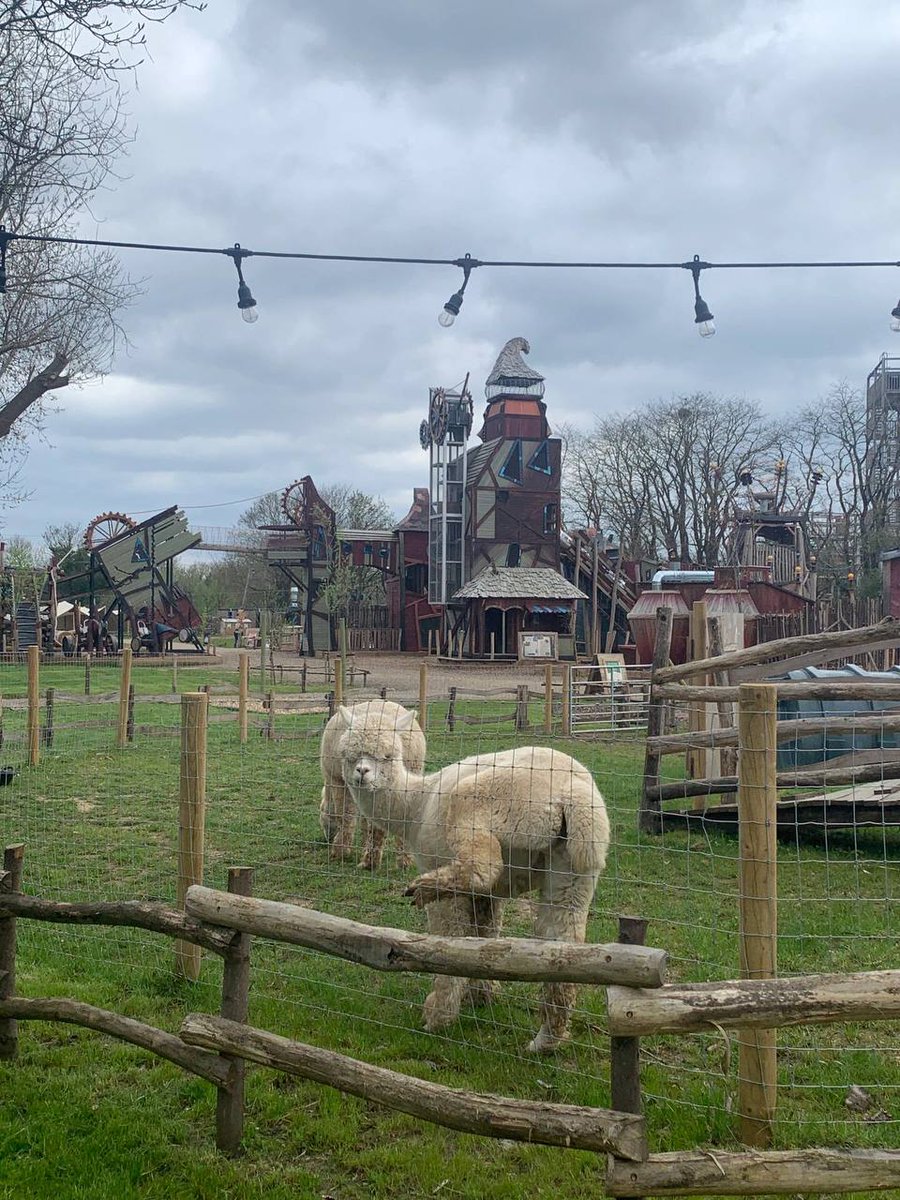 Valencia_ruka's tweet photo. The Zoo https://t.co/dZA1zVsDvN
