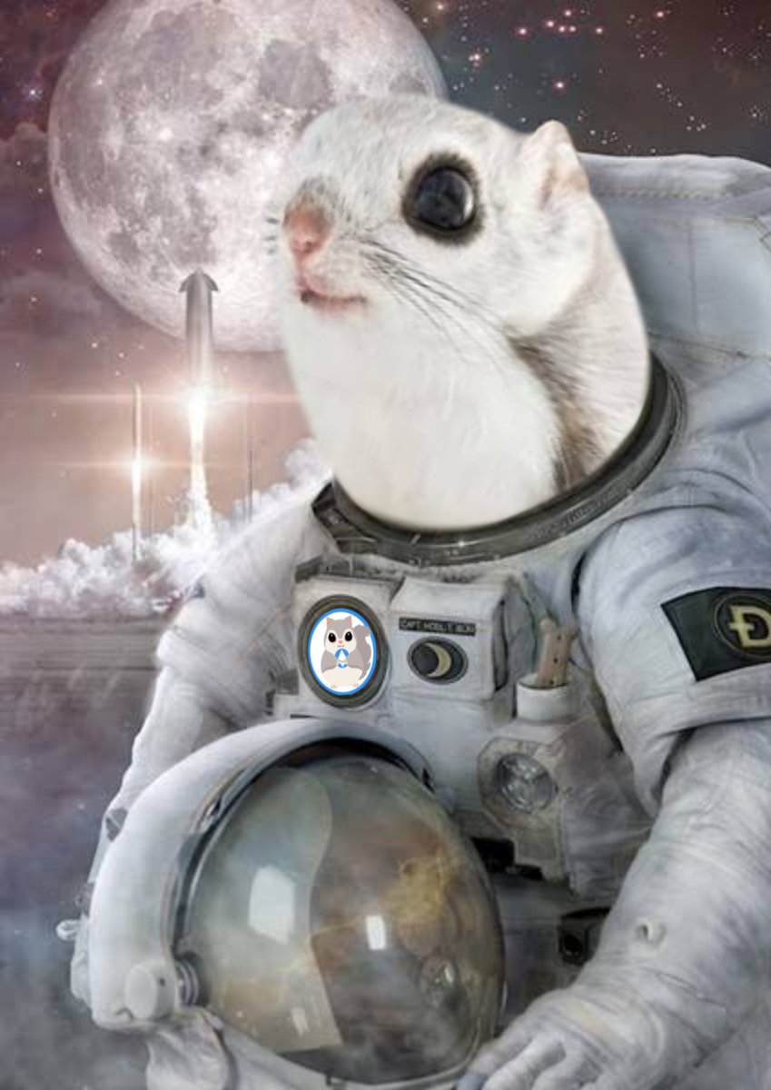 Added 1 year to Ezo Flying Squirrel LP lock 🔒🌰🐿️ 

CA: 0x03ce9904ba898361d1c1a1873fb908a1b0e3b8bf

LP Lock: 
pinksale.finance/pinklock/recor…

Uniswap: 
app.uniswap.org/#/swap?outputC…

#Crypto $ETH $BSC #Ethereum $EZO