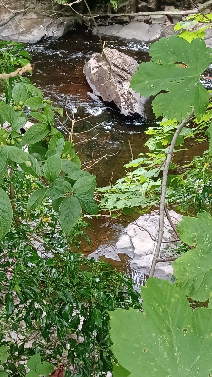 Learning for Sustainability at MGS tweet media