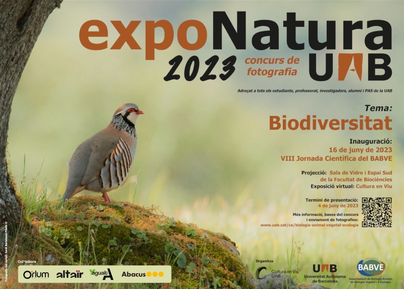 Bctuab's tweet photo. 🆕#Concurs fotogràfic |

📸🐞🌼#ExpoNatura 2023
Adreçat a #alumnatUAB, #professoratUAB, #PDI, #PAS i #AlumniUAB
📅Termini: 4 de juny

Organitzat per #BABVE de @Biociencies_UAB, @culturaenviuUAB i @UABBarcelona 

🔗https://t.co/7XgccayVeQ

@FCienciesUAB @EnginyeriaUAB @AlumniUAB https://t.co/hsRvowYLP9