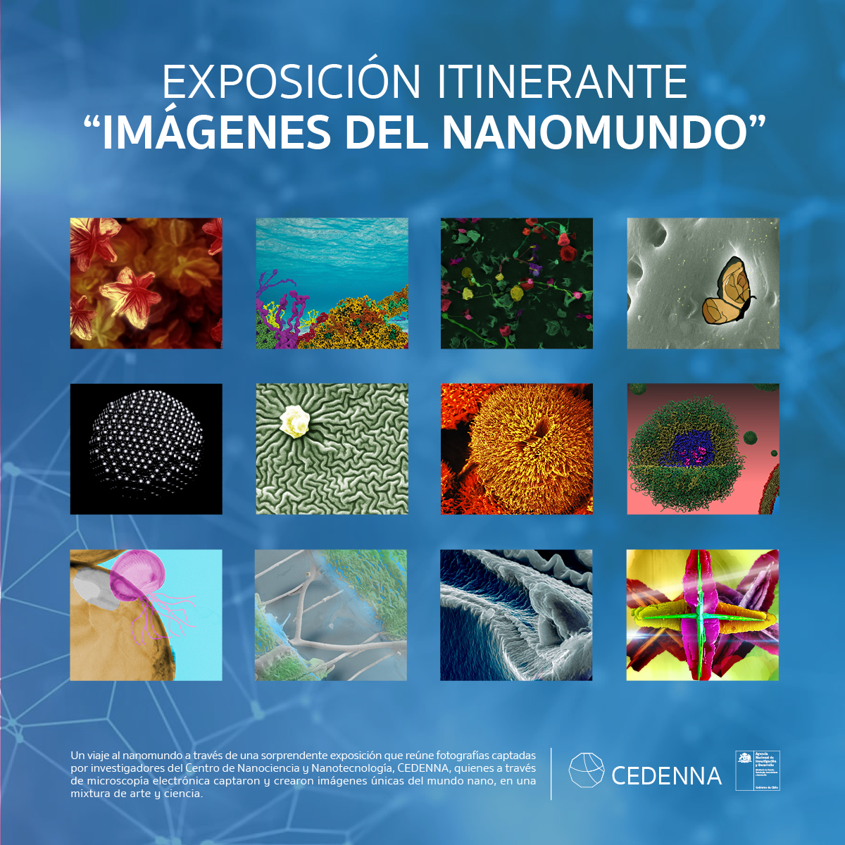 CEDENNA's tweet photo. ¡Atención! @CEDENNA liderado por @usach inaugura mañana a las 12 horas su exposición "Imágenes del Nanomundo" en el @PlanetarioChile. La muestra reúne 12 fotografías con imágenes de nanopartículas abordadas de manera artística, en una mágica sinergia entre arte y ciencia. https://t.co/TLOADG44Ji