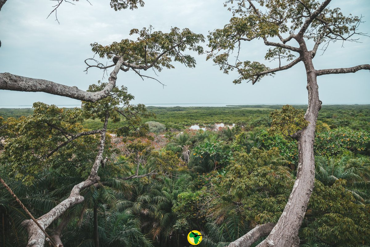 AfricaTourismS1's tweet photo. Bienvenue au Cap Skirring, dans la zone Sud au #Sénégal 🥰💚🌍
#africatourismsolutions #capskirring #XamSaDëkk #ziguinchor #Culture #Safari #sustainabletourism #tourism4Dev #travelblogger #Westafrica #Taamusenegal #tourism #Decouvertes #kebetu #dokhantu https://t.co/3aCm6oIQXq