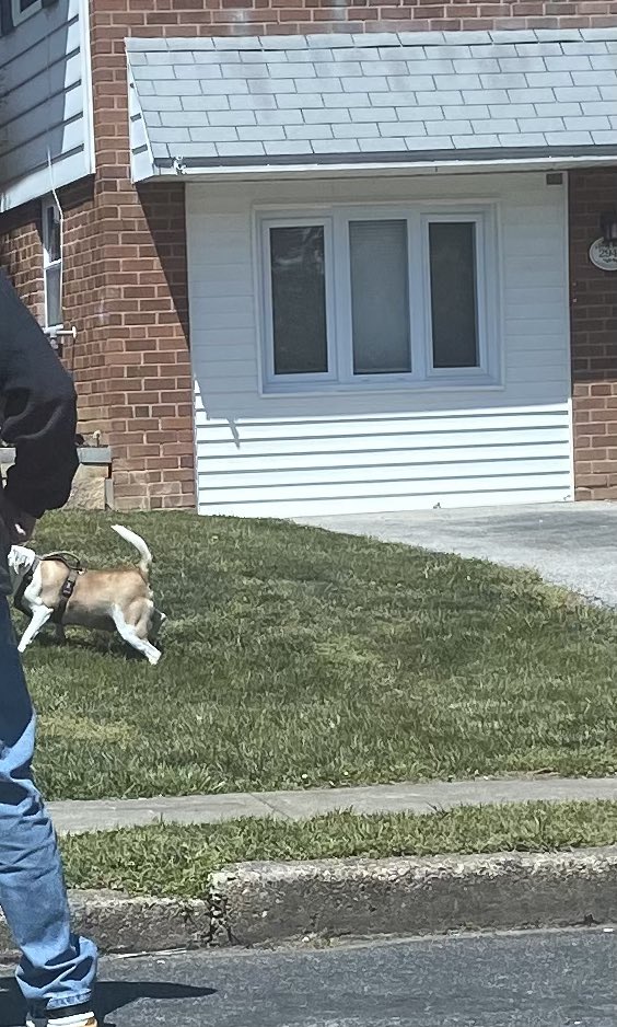 EWNLLC's tweet photo. Somewhere in #springfieldpa today. Had to be mindful of a dog off itβs leash. At the last minute the owner decided to say get into action, when she started getting really aggressive.
ππ«π : You wonβt catch every message meant for you, but when you do, pay close attention. https://t.co/xMd8ToPz55