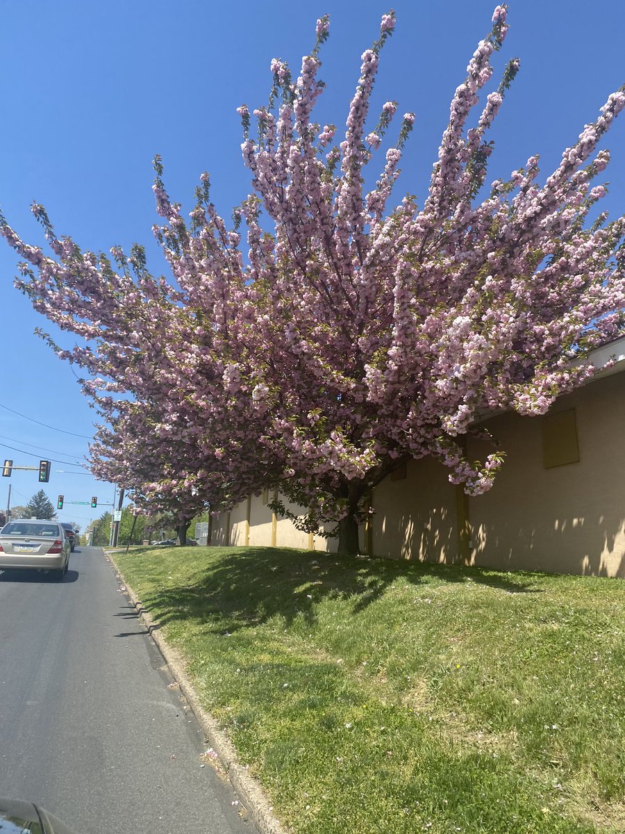EWNLLC's tweet photo. Somewhere in #springfieldpa today. Had to be mindful of a dog off itβs leash. At the last minute the owner decided to say get into action, when she started getting really aggressive.
ππ«π : You wonβt catch every message meant for you, but when you do, pay close attention. https://t.co/xMd8ToPz55
