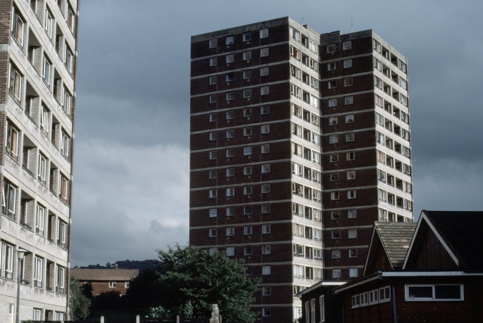 IDST! Arts tweet media