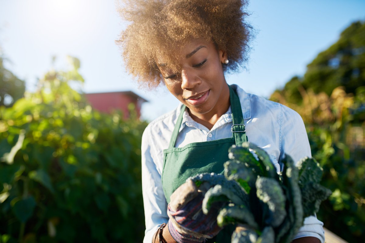 WeAreThinkRubix's tweet photo. My Grandparents Were Farmers Too: The Future of Technology and The Fight for Agriculture https://t.co/voByBl1igE #earthday #agtech #AgricultureMarket https://t.co/6WGu25EKKo