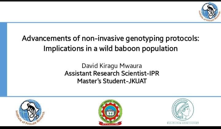 primateresearch's tweet photo. Today's seminar presentation was delivered by @MwauraKiragu on the ‘Development of cellulose based DNA extraction protocol and a shiny web application (DadApp) for assigning paternity in wild animal populations ’.  
#research #dna #DadApp https://t.co/jIvq1dKTdY