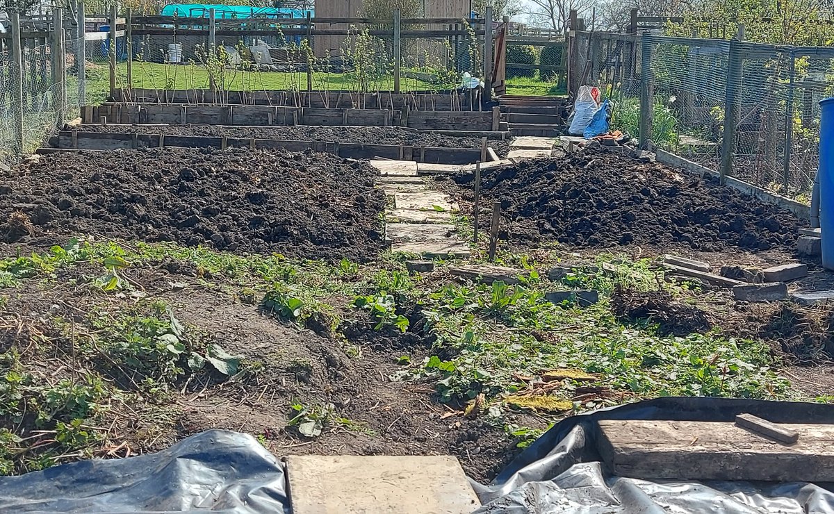 ToavesG's tweet photo. Progress is gradually being made bringing my plot under control.

#toaves #plotclearance #allotmentrenovation #allotmentrevamp #allotmentlife #nettlerootremoval #canseewhereivebeen #earlydays https://t.co/hJdKoULIsG