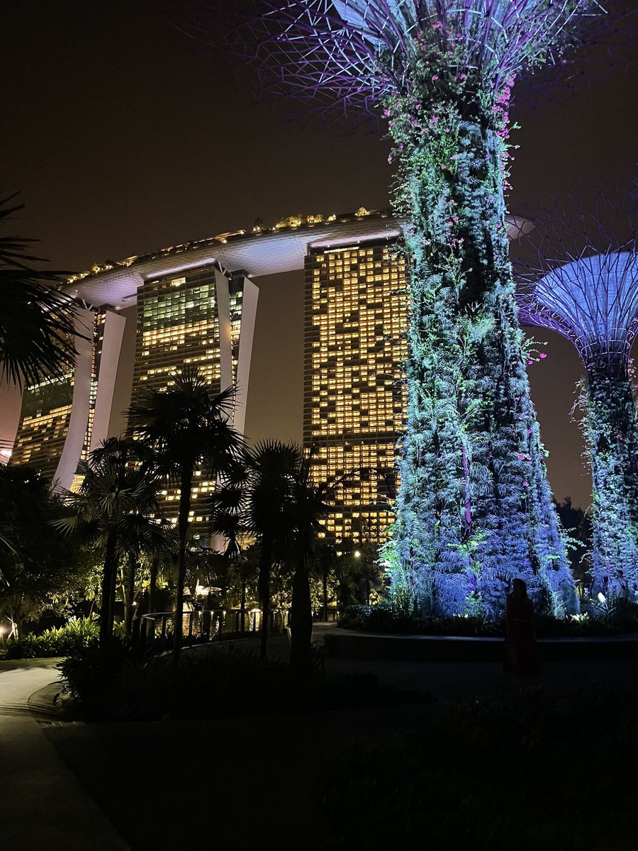 Rodrigo Maria Barradas Ferreira tweet media