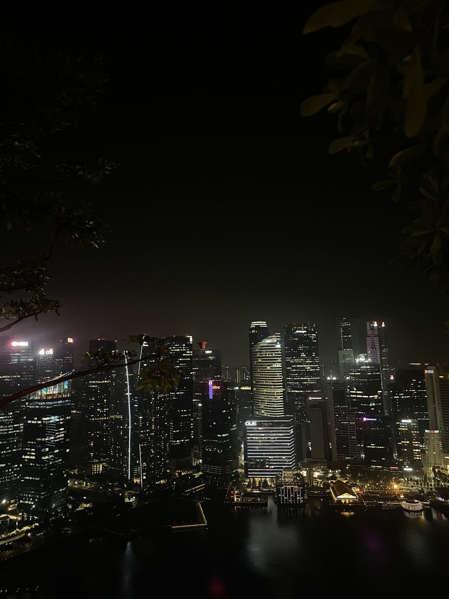 Rodrigo Maria Barradas Ferreira tweet media