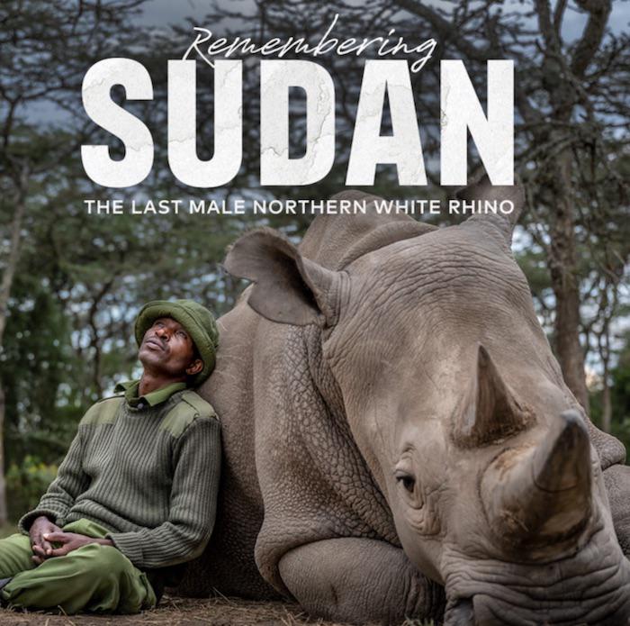 JeffreyRoberts3's tweet photo. #ProPhotoDaily Join a Global Viewing Party for @Amivee 's Film 'Remembering Sudan: The Last Northern White Rhino' @filmfreeway
https://t.co/oPeJe0gSXL https://t.co/I0D8PDUNvq
