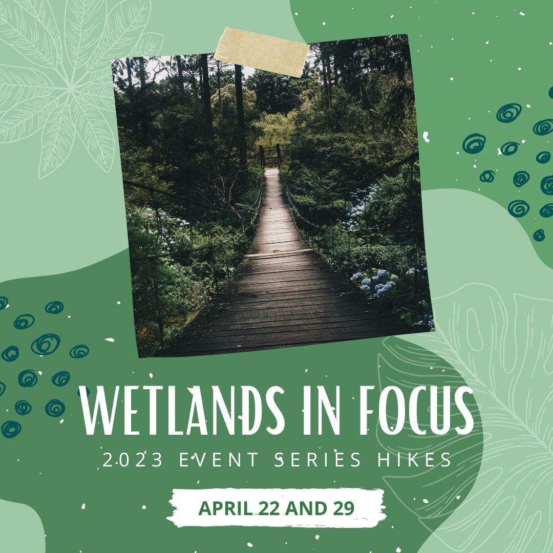 We are excited to share the first set of spring hikes as part of our Wetlands in Focus 2023 Event Series of educational walks and talks.
Hikes are listed on our hiking calendar - secure your spot today!
#wetlandsbtc #brucetrail #iroquoiabrucetrail #conservation #hiking