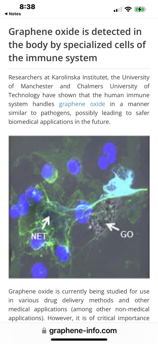 ClichyRose3's tweet image. ✅Antioxidants #GOnets 
graphene-info.com/graphene-oxide…